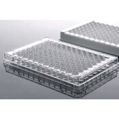ELISA Plate, High Binding, Clear